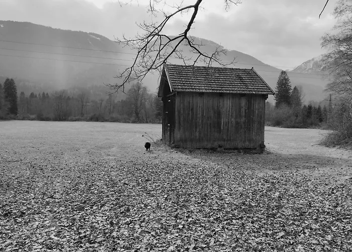 Haus Elli