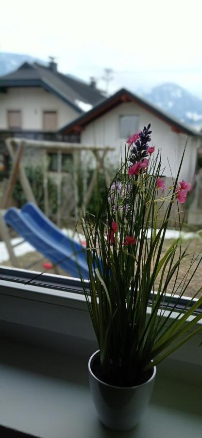 Haus Elli Apartment